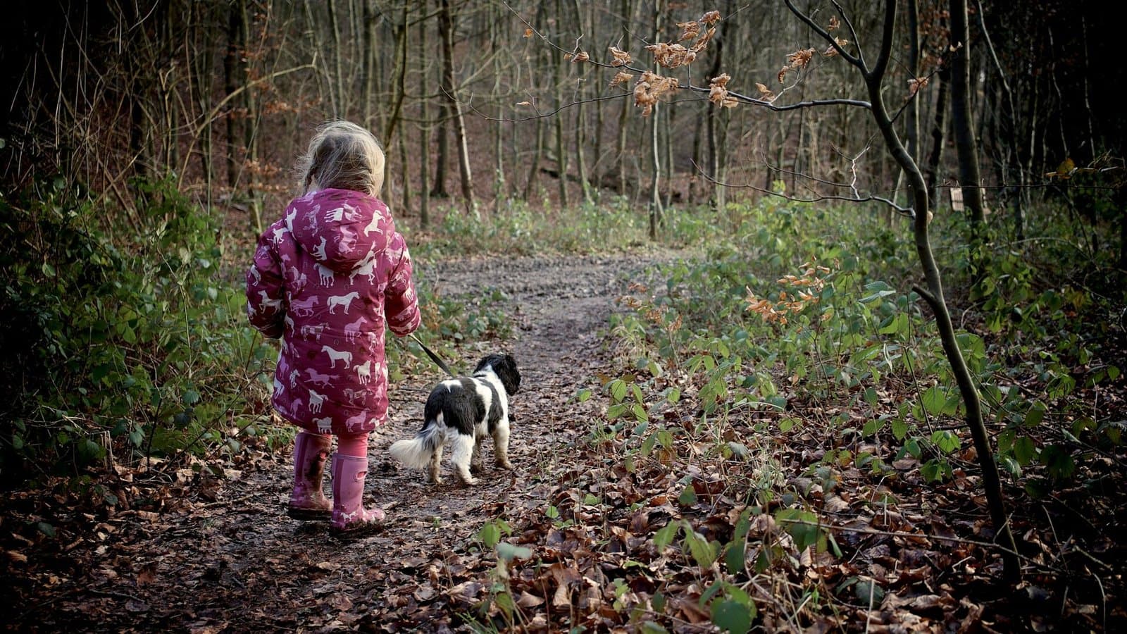 Una niña, vista de espaldas, pasea con correa a un perro pequeño blanco y negro por un sendero del bosque.
